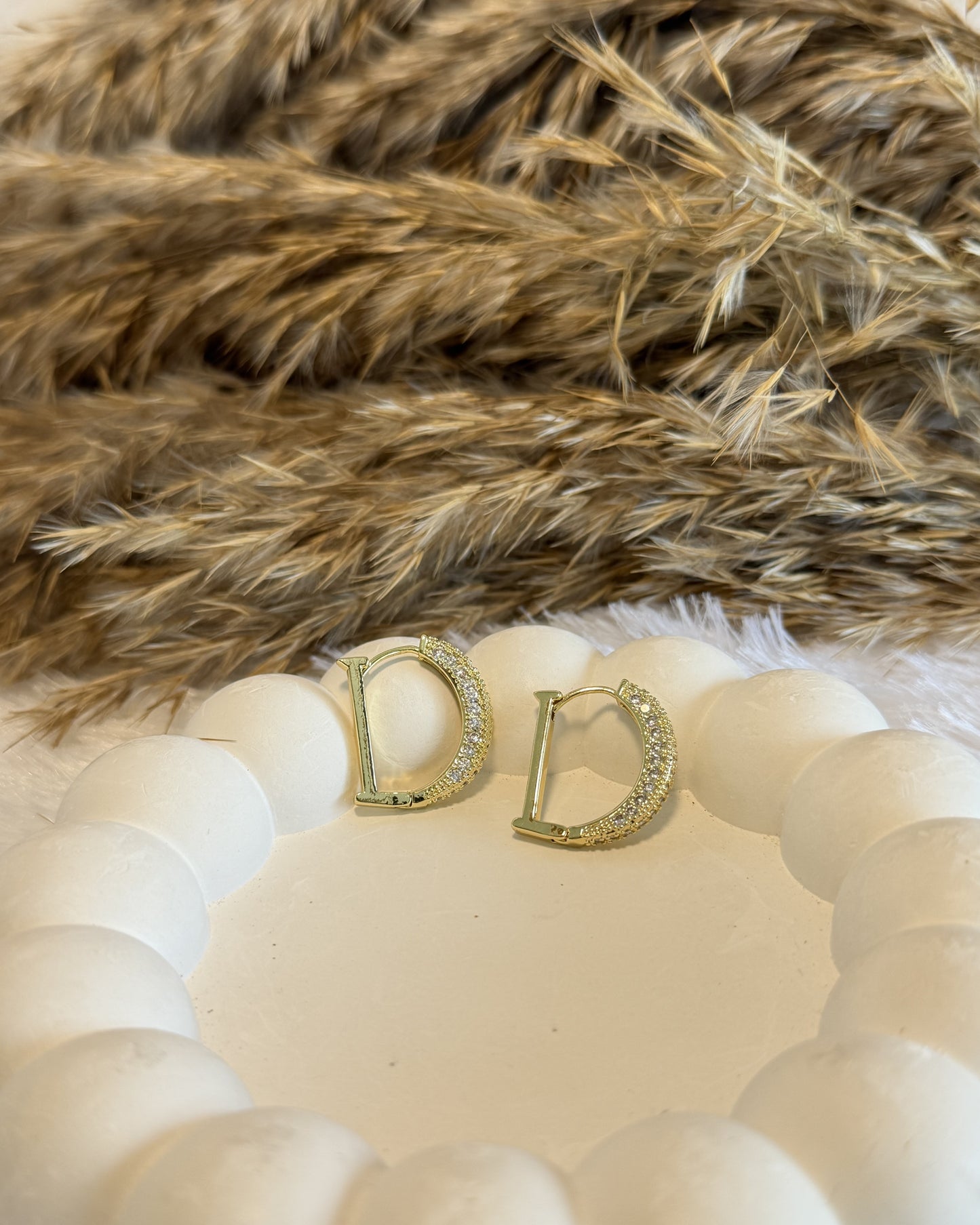 Dazzle D Crystal Earrings
