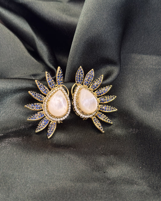 Radiant Teardrop earrings