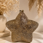 Star Bag