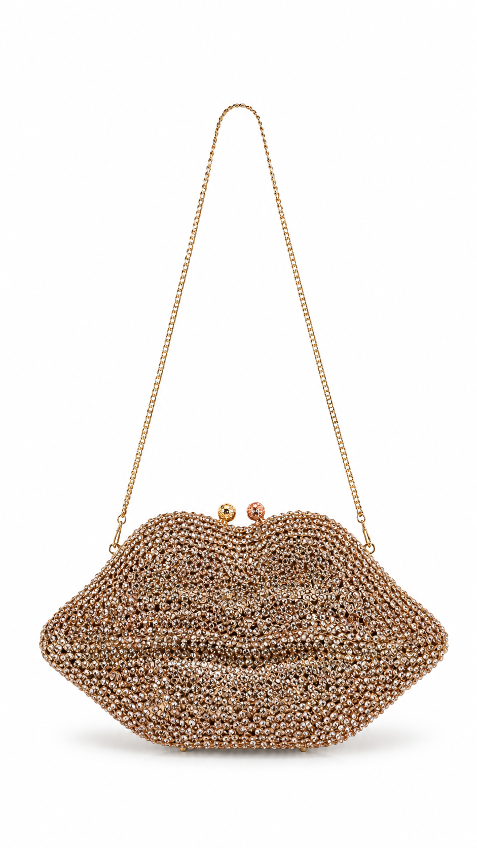 Lip Bag